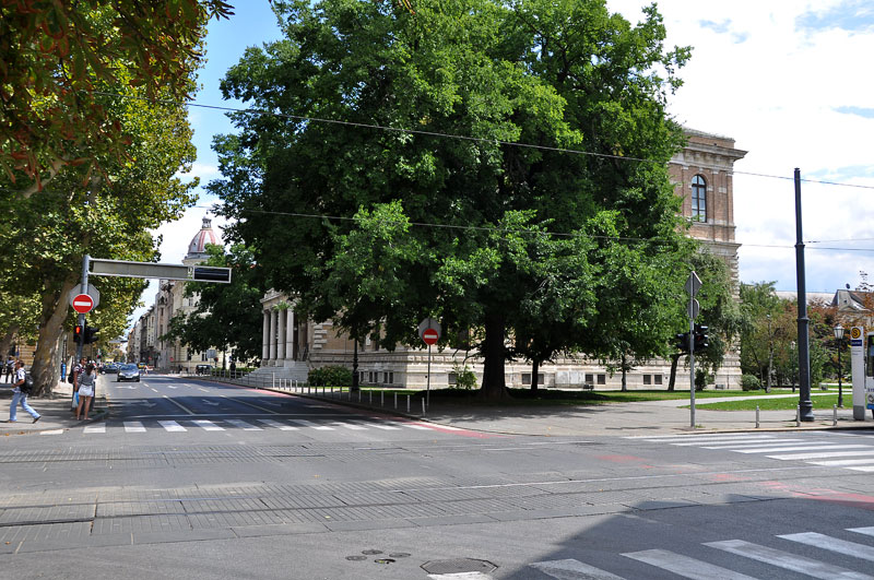 Palača HAZU 2011. godine